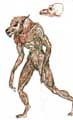 werewolf